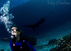 What Manta? Where? by Tony Cherbas 